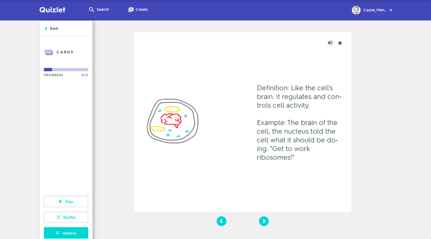 Play the Flashcard Factory Game